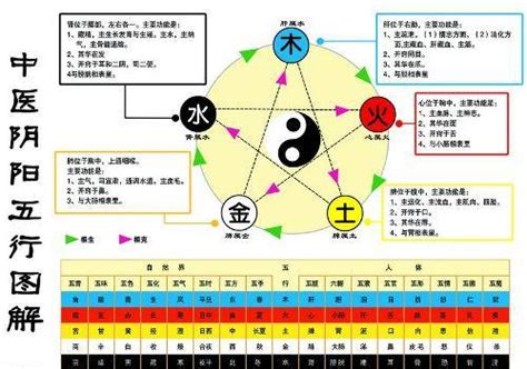 金生木 木生水|五行（对万事万物的取象比类）